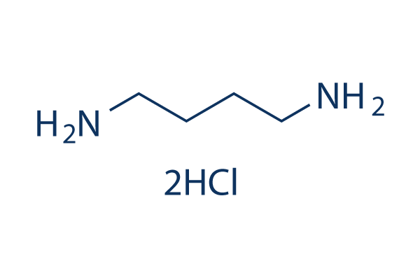 1,4-Diaminobutane dihydrochloride化学構造